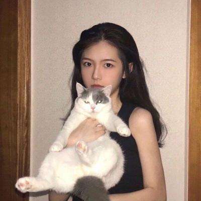 超级赛亚人gt手游九游版下载